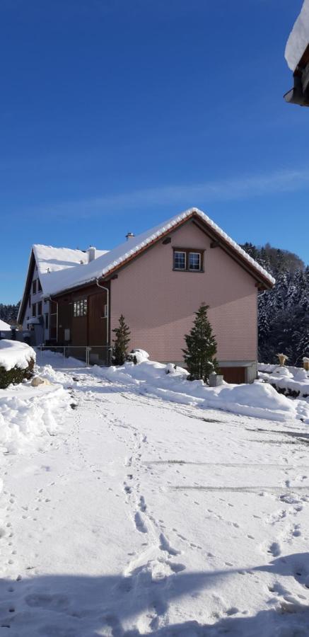 Loft in der Natur mit Gartenzugang und Sauna Herisau Exterior foto
